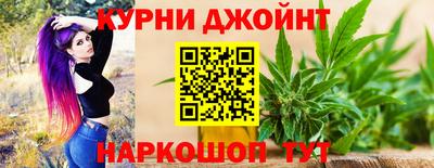 apvp Кингисепп