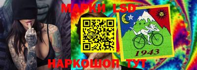 apvp Кингисепп