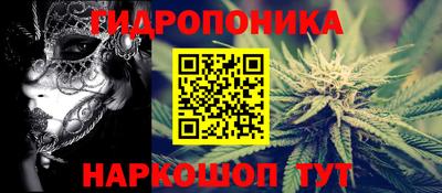 apvp Кингисепп