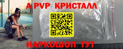 apvp Кингисепп