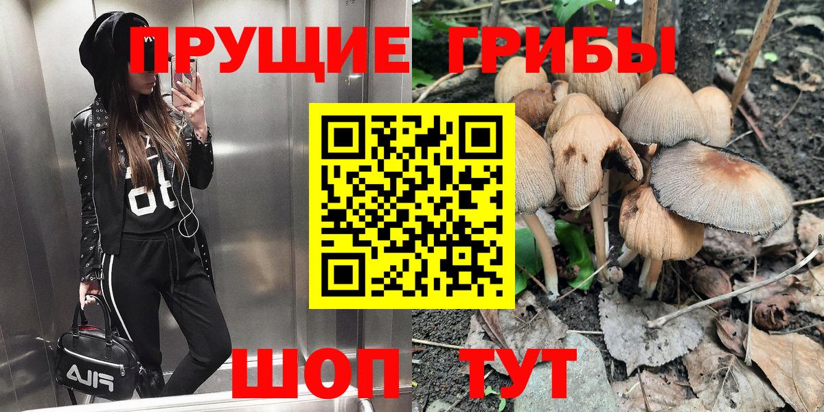 Галлюциногенные грибы Cubensis  Вход с VPN  наркотики  Коряжма 